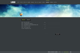 青島網(wǎng)景 以專業(yè)美工模板與網(wǎng)站建設(shè)，打造客戶信賴的數(shù)字橋梁